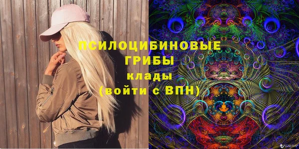 spice Аркадак