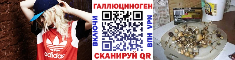 Галлюциногенные грибы Magic Shrooms Рыбное